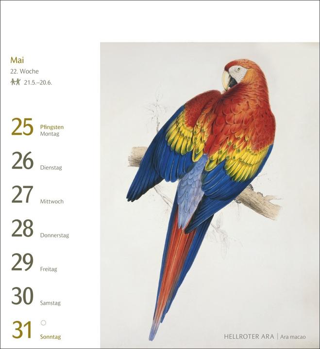 Produktbild Harenberg Vögel Postkartenkalender 2026 - Postkartenkalender mit 53 historischen Zeichnungen (Harter Einband, Deutsch)