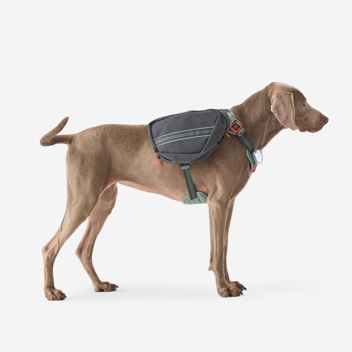 Immagine prodotto Caperlan Hundegeschirr Wandern (S, Cane)