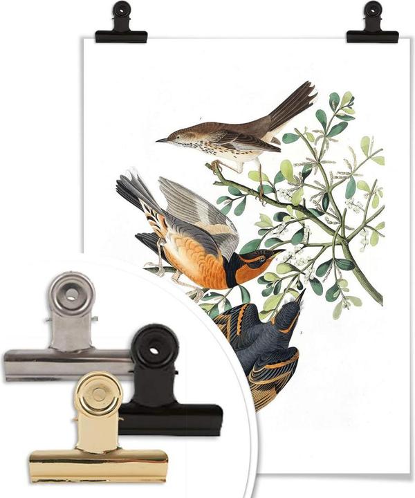Actual product image Trenddeko Three chokes (60 x 80 cm)
