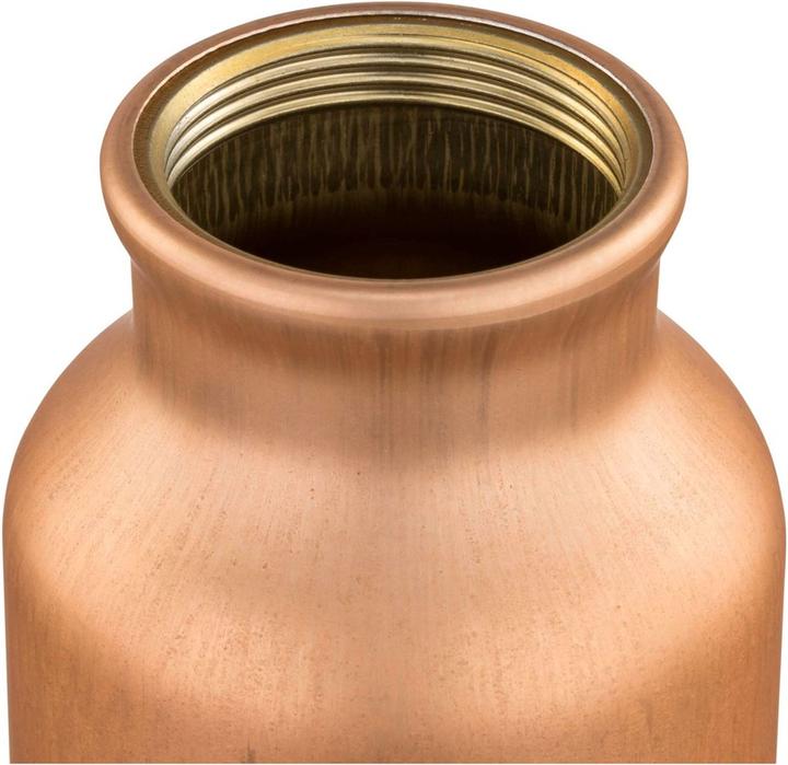Actual product image Sigg Original (0.50 l)