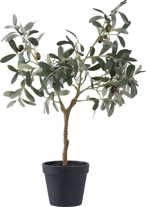 House Nordic Olive (61 cm)