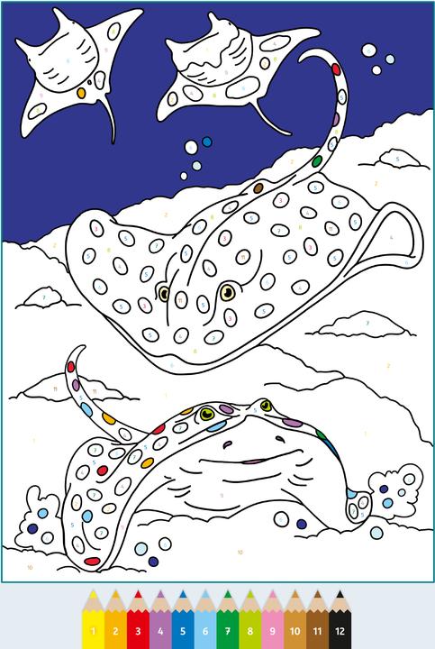 Image du produit Ravensburger CreArt Peinture par numéros 7 et plus : Dans la mer, livre de coloriage, 24 motifs