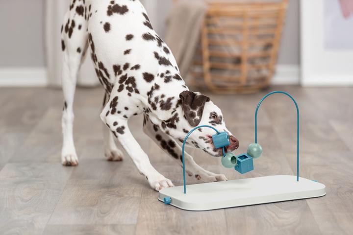 Produktbild Trixie Skills Loop (Beschäftigungsspielzeug Hund)