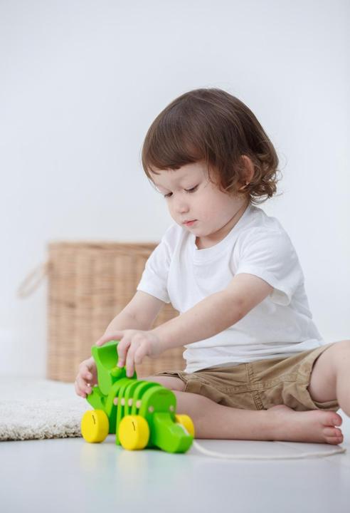 Actual product image Plantoys Dancing Alligator