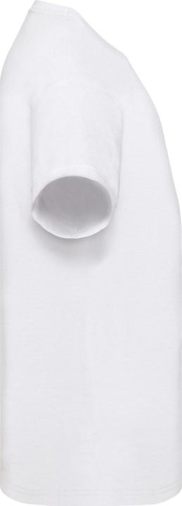 Actual product image Fruit of the Loom Childrens/Kids Original Cotton T-Shirt (140, 146)