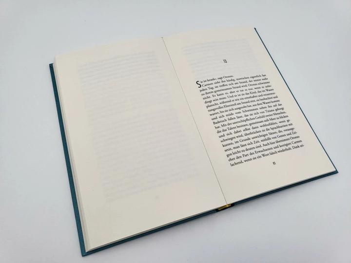 Immagine prodotto Monterosso mon amour (Tedesco, Ilja Leonard Pfeijffer, Ira Wilhelm, 2022)