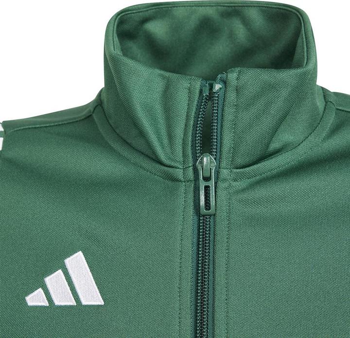 Actual product image adidas TIRO24 TRJKT Y (164)