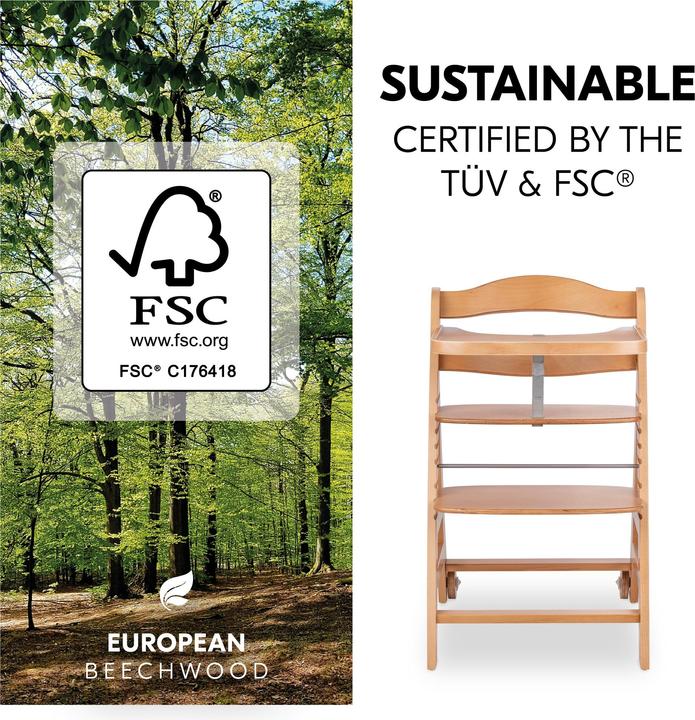 Actual product image Hauck Beta+ (Highchair)