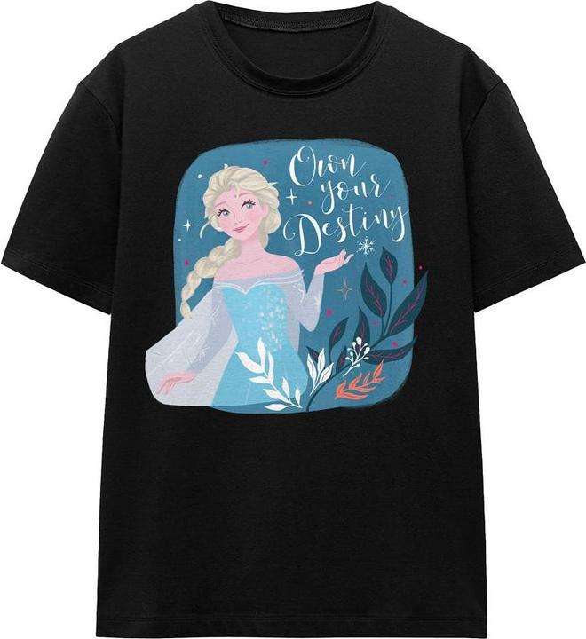 Actual product image Disney Frozen Unisex Adult Own Your Destiny Elsa T-Shirt (L)