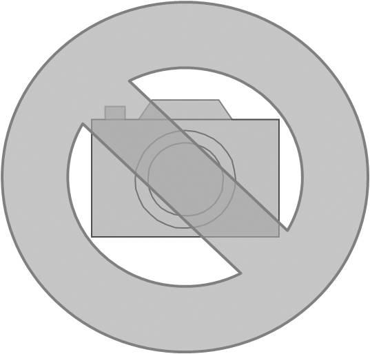Produktbild Siteco 5NA75700XD Schutzgitter für
