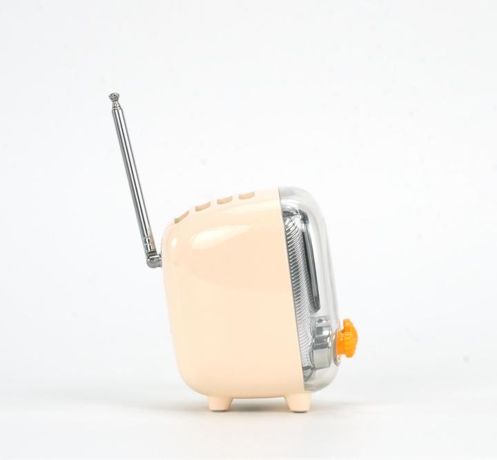 Produktbild Divoom Tiivoo-2 white