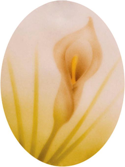 Immagine prodotto Martellato Stencil ad aerografo 2 Gigli Callas