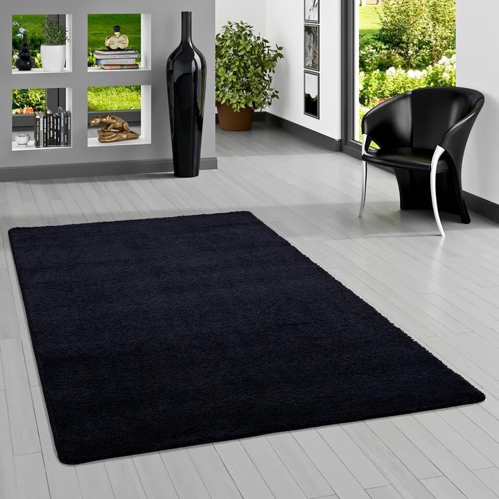 Image du produit Snapstyle Palais du tapis à poils longs (100 x 200 cm)