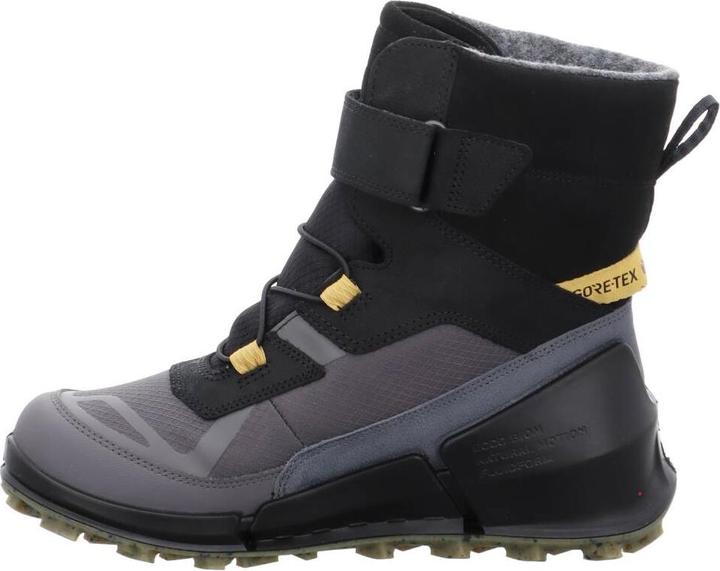 Produktbild Ecco Biom K2 GTX (31)