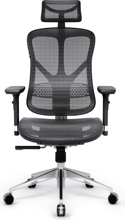 Actual product image Diablo V-Basic - Noir/Gris