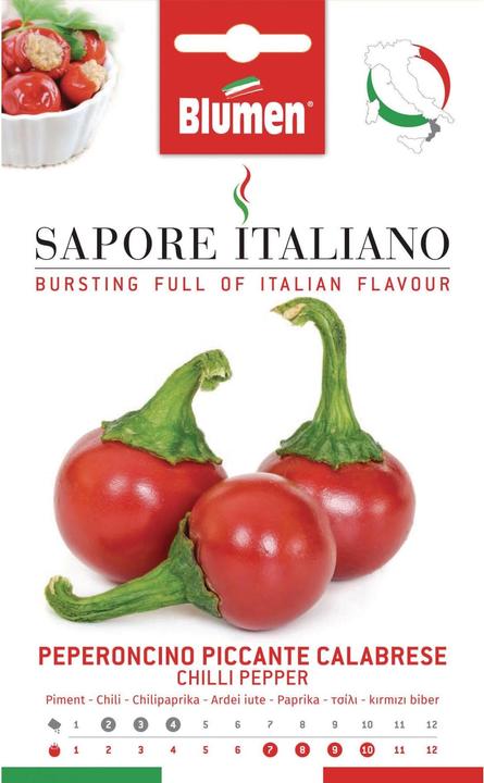 Produktbild Blumen Chilipfeffer Piccante Calabrese (Gemüsesamen)