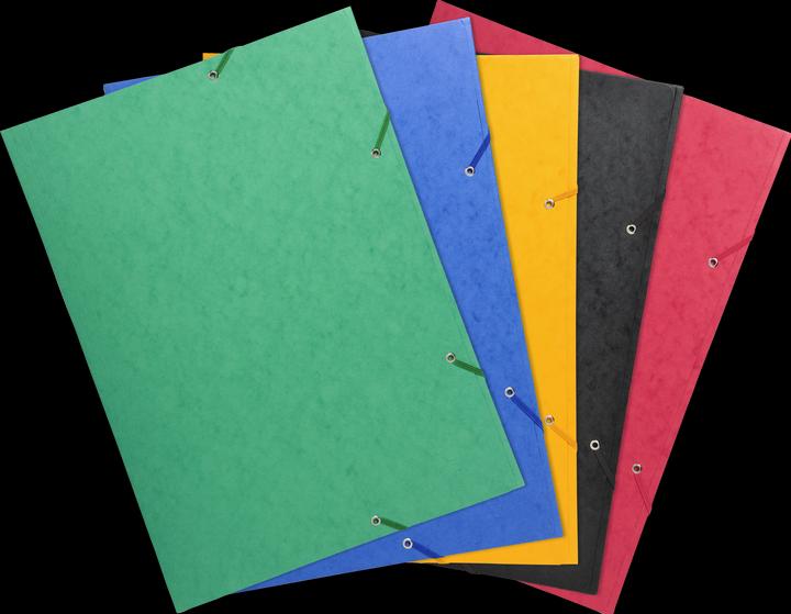 Actual product image Exacompta Collection folder with elastic band (A3, 1 x)