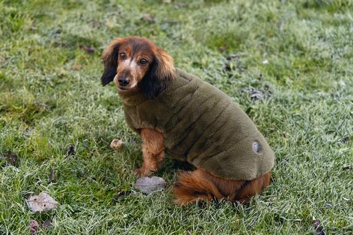 Actual product image Designed by Lotte Victoria dog coat (XL, Dog coat)