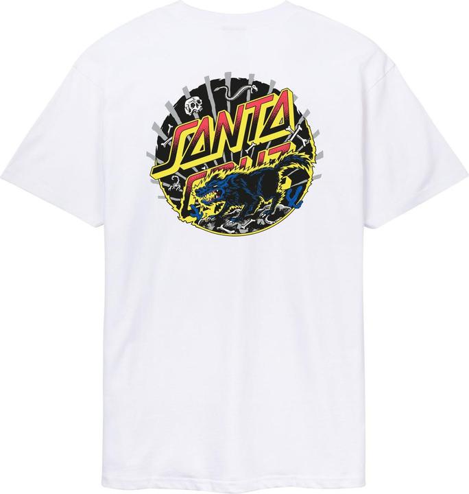 Santa Cruz M39571