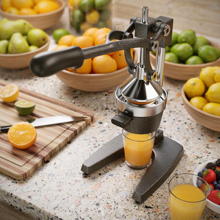 Actual product image Arendo Juicer