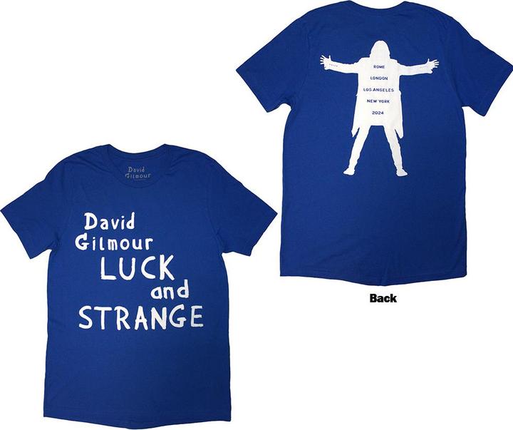 David Gilmour Luck & Strange Logo