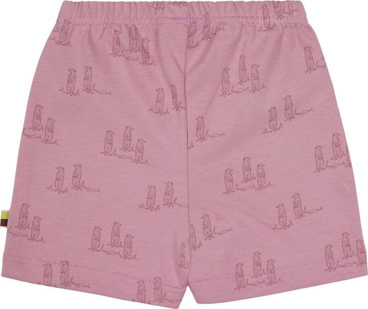 Actual product image loud + proud Short pressure (86)
