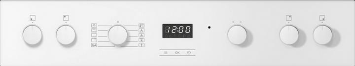 Actual product image Miele H 2456-60 E ACTIVE