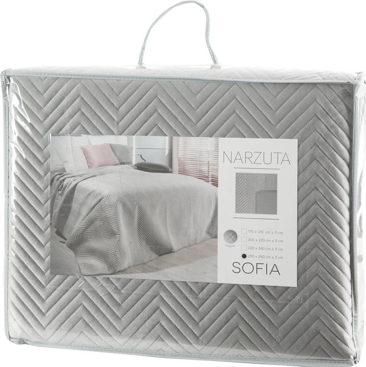 Produktbild Eurofirany CHON / SOFIA / Silber 230X260 Silberne Tagesdecke