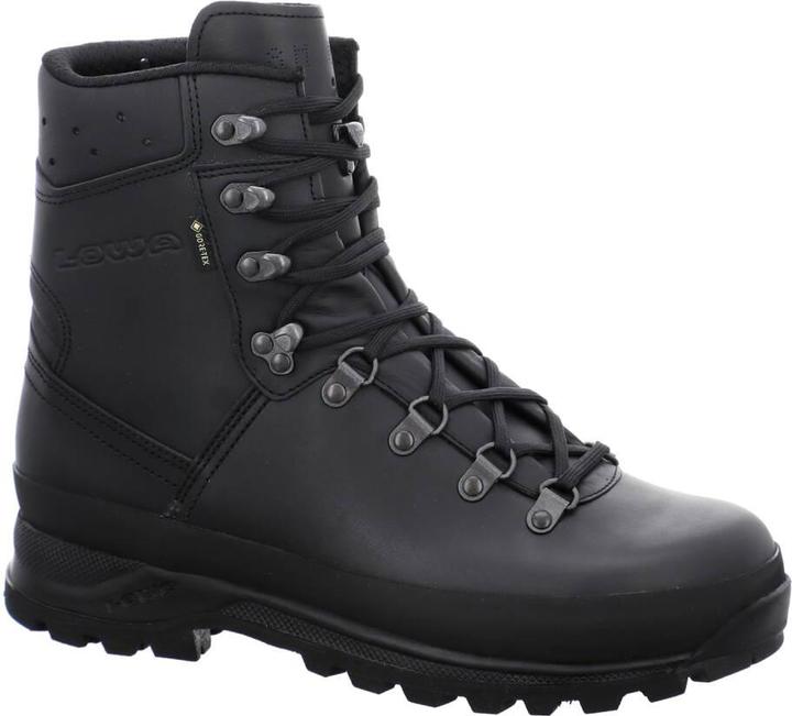 Lowa Mountain Boot GTX (47)