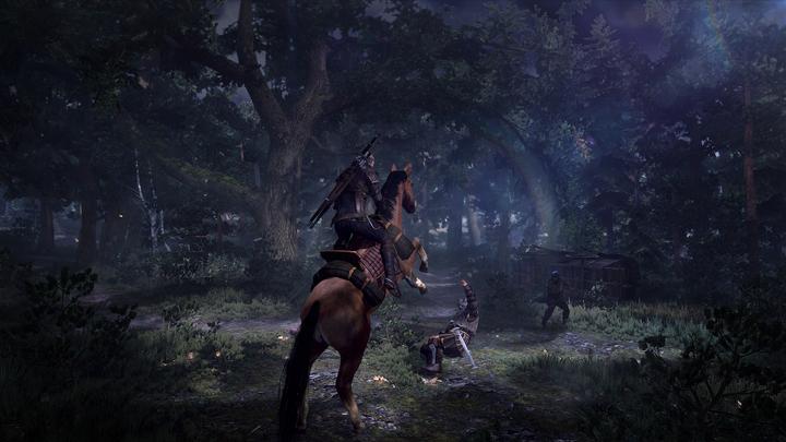 Image du produit The Witcher 3 : Wild Hunt