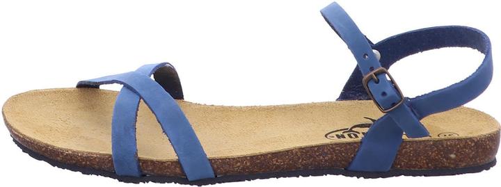 Plakton 575029 Limnea (40)