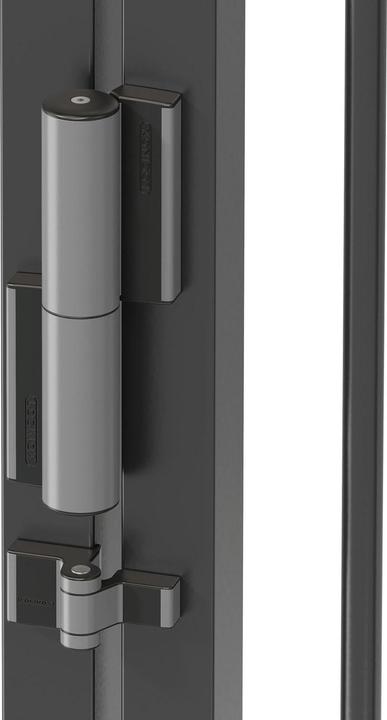 Actual product image Locinox Gate hinge and gate closer TIGER (Outdoor)