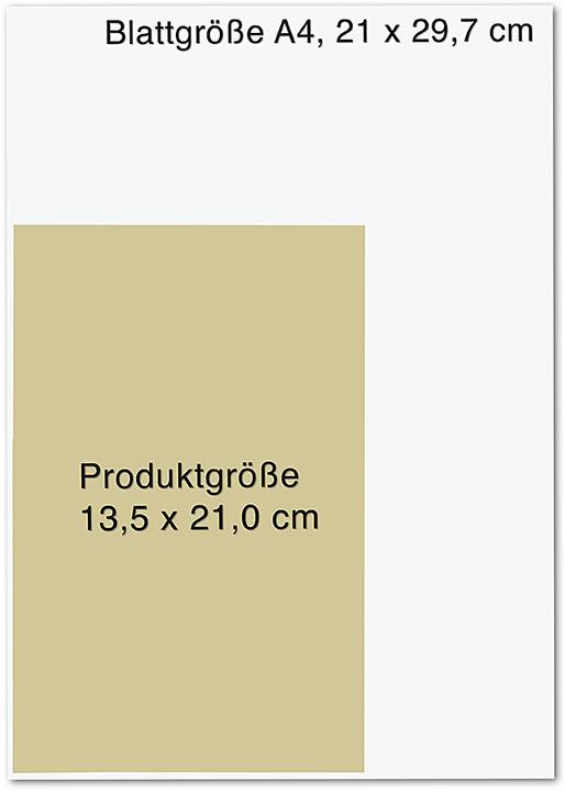Produktbild Die Hexenwunde (Deutsch, Melissa Kirchgässner, 2024)