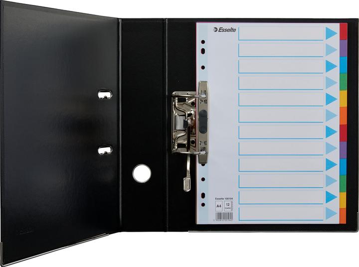 Produktbild Esselte Register Karton farbig