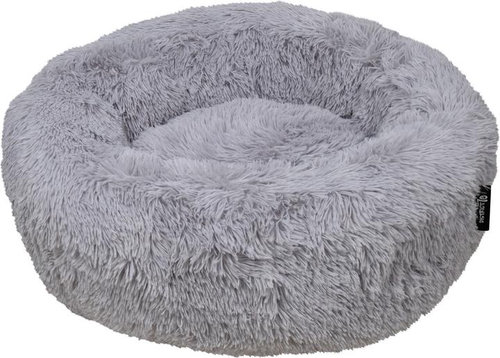 District 70 Ciambella (Cane)