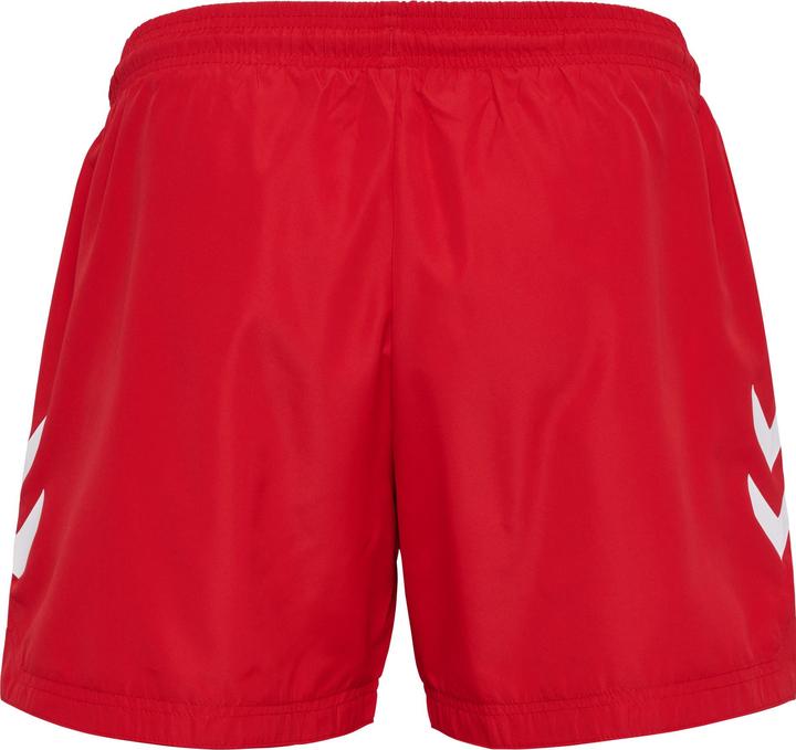 Actual product image hummel hmlLGC NED SWIM SHORTS (L)