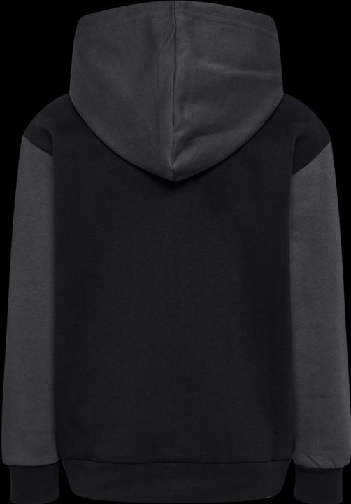 Actual product image hummel hmlALVIN HOODIE (110)