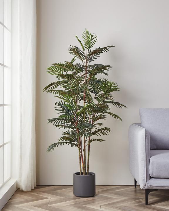 Image du produit EGLO Plante artificielle en pot (160 cm)