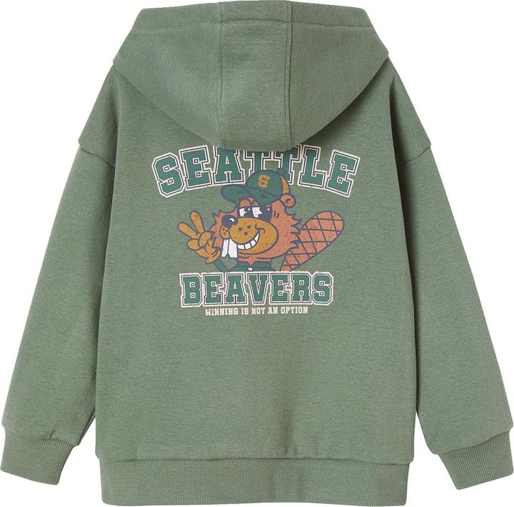 Actual product image Vertbaudet Boys' hooded sweatshirt (86)