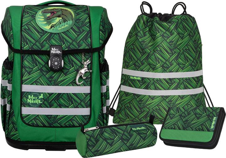 Actual product image Mc Neill Ergo Compacto 5-piece satchel set (20 l)