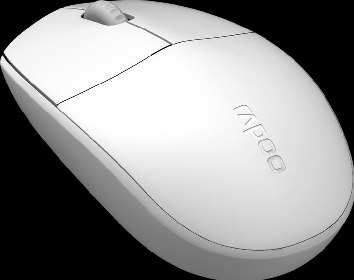 Actual product image Rapoo N100 Optical Maus (Cable)