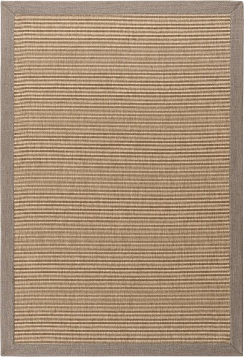 Immagine prodotto Conceptum Hypnose Berlin (200 x 300 cm)