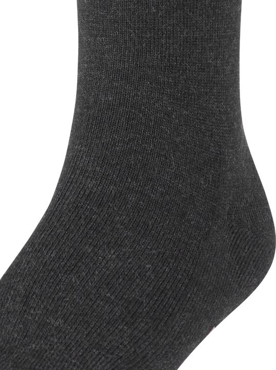 Actual product image Falke Family SO (Single pack, 27 - 30)