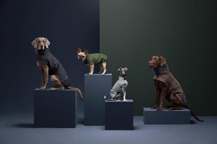Actual product image Cloud 7 Dog Coat Brooklyn (4, Dog coat)
