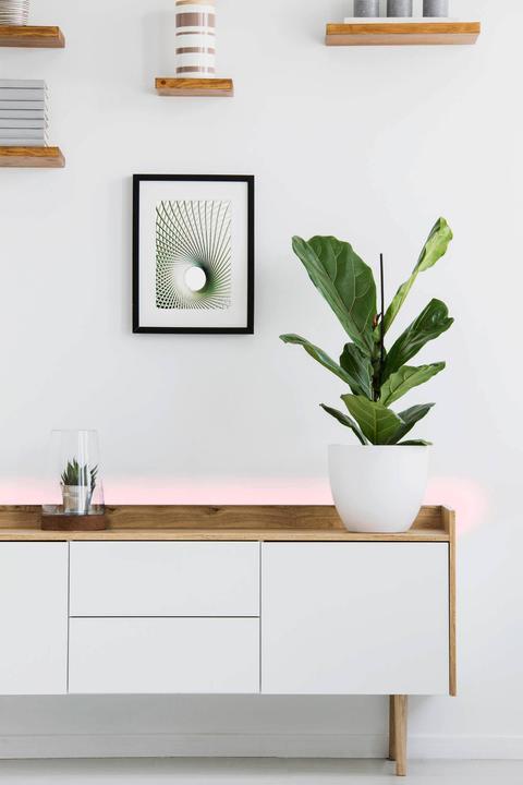 Actual product image EGLO Stripe-c (Warm white, Neutral White, Cold White, RGBW, 300 cm, Indoor)