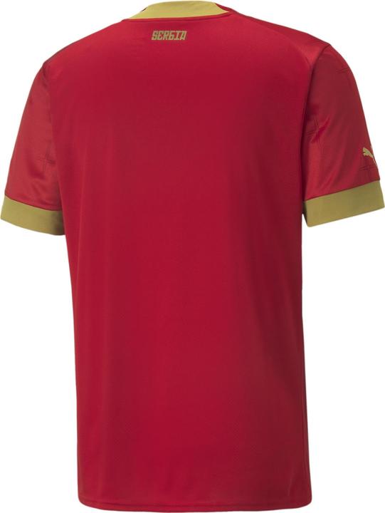 Immagine prodotto Puma Maglia FSS Home Replica (L)