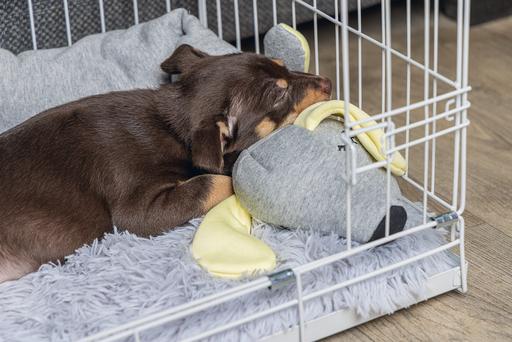 Immagine prodotto Beeztees Gabbia per cuccioli (Cane, Lavabile, Riflettori)