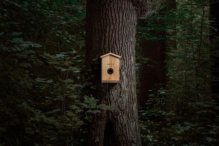 Produktbild WildcameraXL Camouflage Vogelhaus EZ Nesteye, Grundfarbe: Braun, Tierart: Vogel