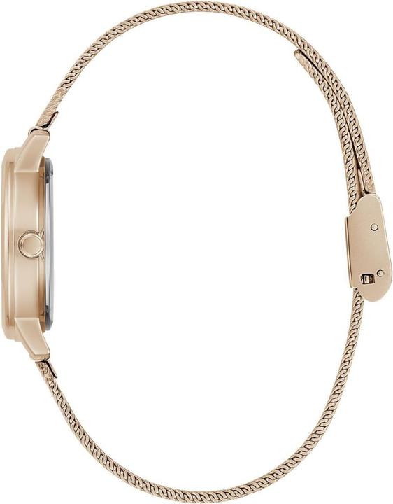 Image du produit Guess Watches LADIES GW0666L3