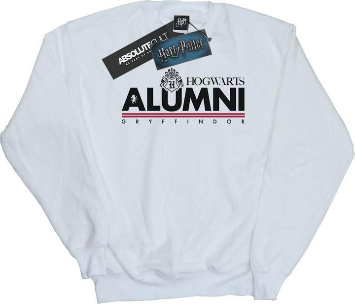 Image du produit - Sweat HOGWARTS ALUMNI GRYFFINDOR - Homme (XXL)